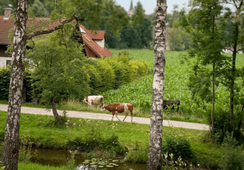 478330-Vorschaubild3