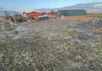 478826-Vorschaubild2