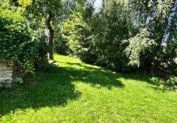 466380-Vorschaubild3