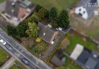 479597-Vorschaubild3