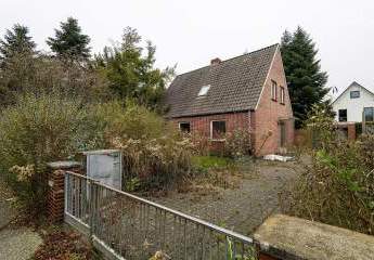 479597-Vorschaubild4