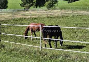 Reitanlage mit 18ha Eigengrund bei Zweibrücken