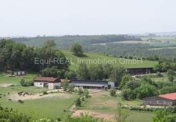 Reitanlage mit 18ha Eigengrund bei Zweibrücken