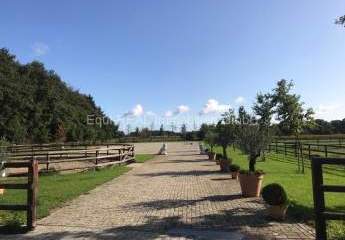 Reitanlage für Zucht, Sport und Reha