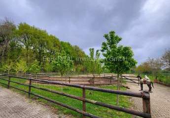 459007-Vorschaubild2