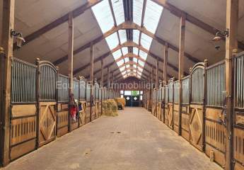 459007-Vorschaubild3