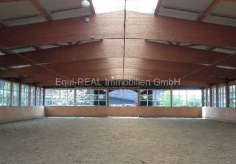 382272-Vorschaubild2