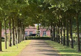 481927-Vorschaubild2