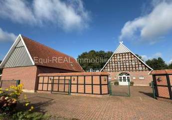 481927-Vorschaubild3