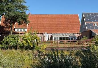 481927-Vorschaubild4