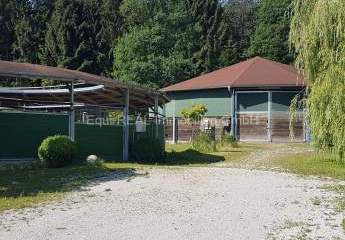 483468-Vorschaubild2