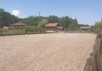 483468-Vorschaubild3