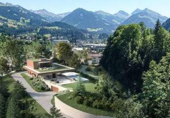 493295-Vorschaubild2