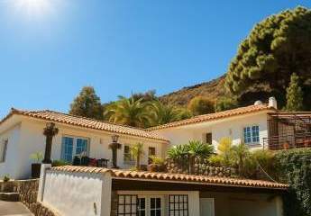 453159-Vorschaubild3