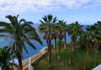 458135-Vorschaubild2