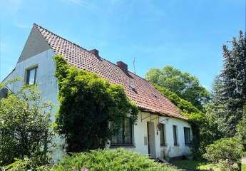 419086-Vorschaubild3