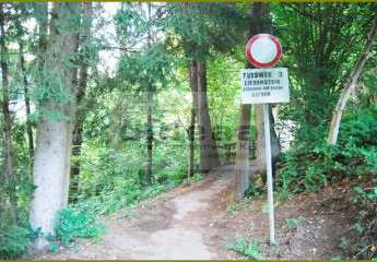 434603-Vorschaubild4