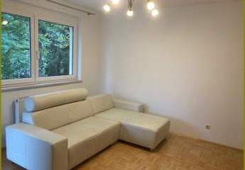 448321-Vorschaubild4