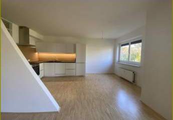 484076-Vorschaubild3