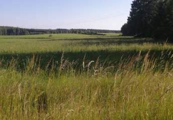 Wohnen in Helmbrechts in der Haa? Na, hoo!