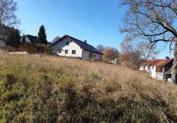390062-Vorschaubild3