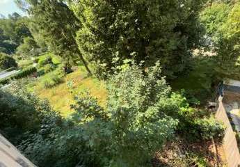 440315-Vorschaubild3