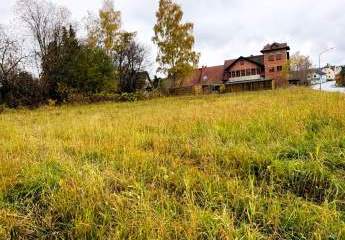 454185-Vorschaubild2