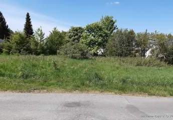 454284-Vorschaubild3