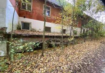 458197-Vorschaubild3