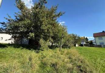 458255-Vorschaubild4