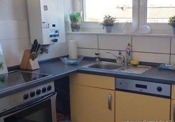 462657-Vorschaubild3