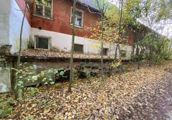 458197-Vorschaubild3