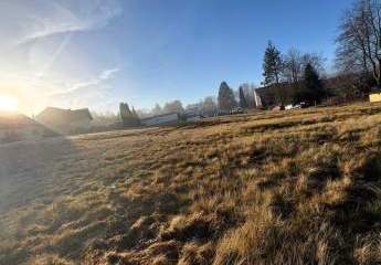 465851-Vorschaubild2