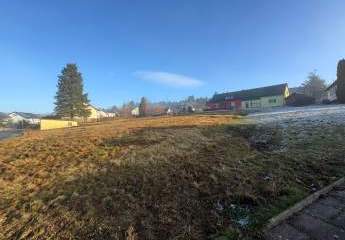 465851-Vorschaubild3