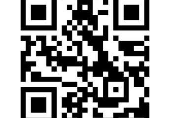 386605-Vorschaubild4