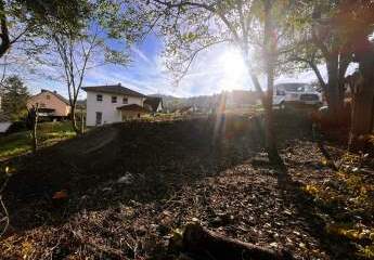 315360-Vorschaubild3