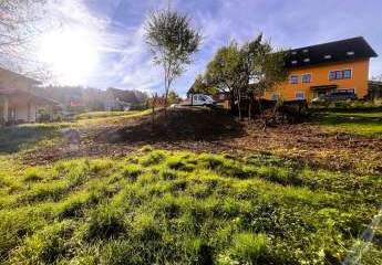 315360-Vorschaubild4