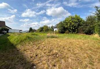 358183-Vorschaubild2