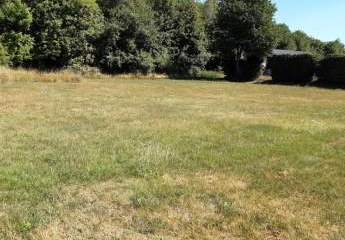 437532-Vorschaubild2