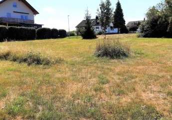 437532-Vorschaubild4