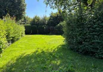 440312-Vorschaubild3