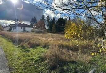 454284-Vorschaubild3