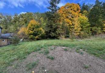 451331-Vorschaubild3