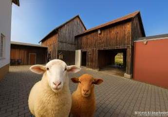 Idyllisch, ruhig, beinahe allein – Ein Anwesen für naturnahes und autarkes Leben