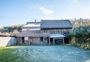 458770-Vorschaubild2