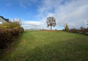 386605-Vorschaubild3