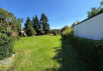 440311-Vorschaubild3