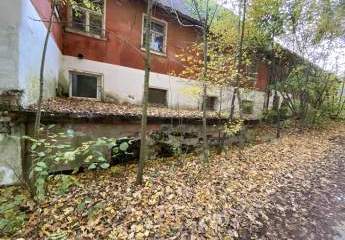 458197-Vorschaubild2