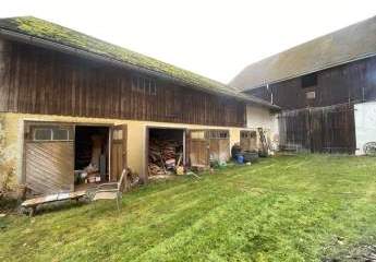 458197-Vorschaubild4