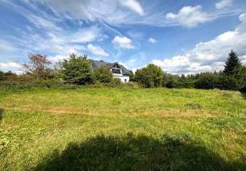 358183-Vorschaubild3